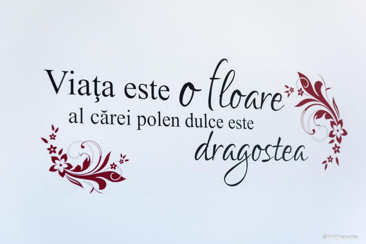 Carpe Diem Brasov